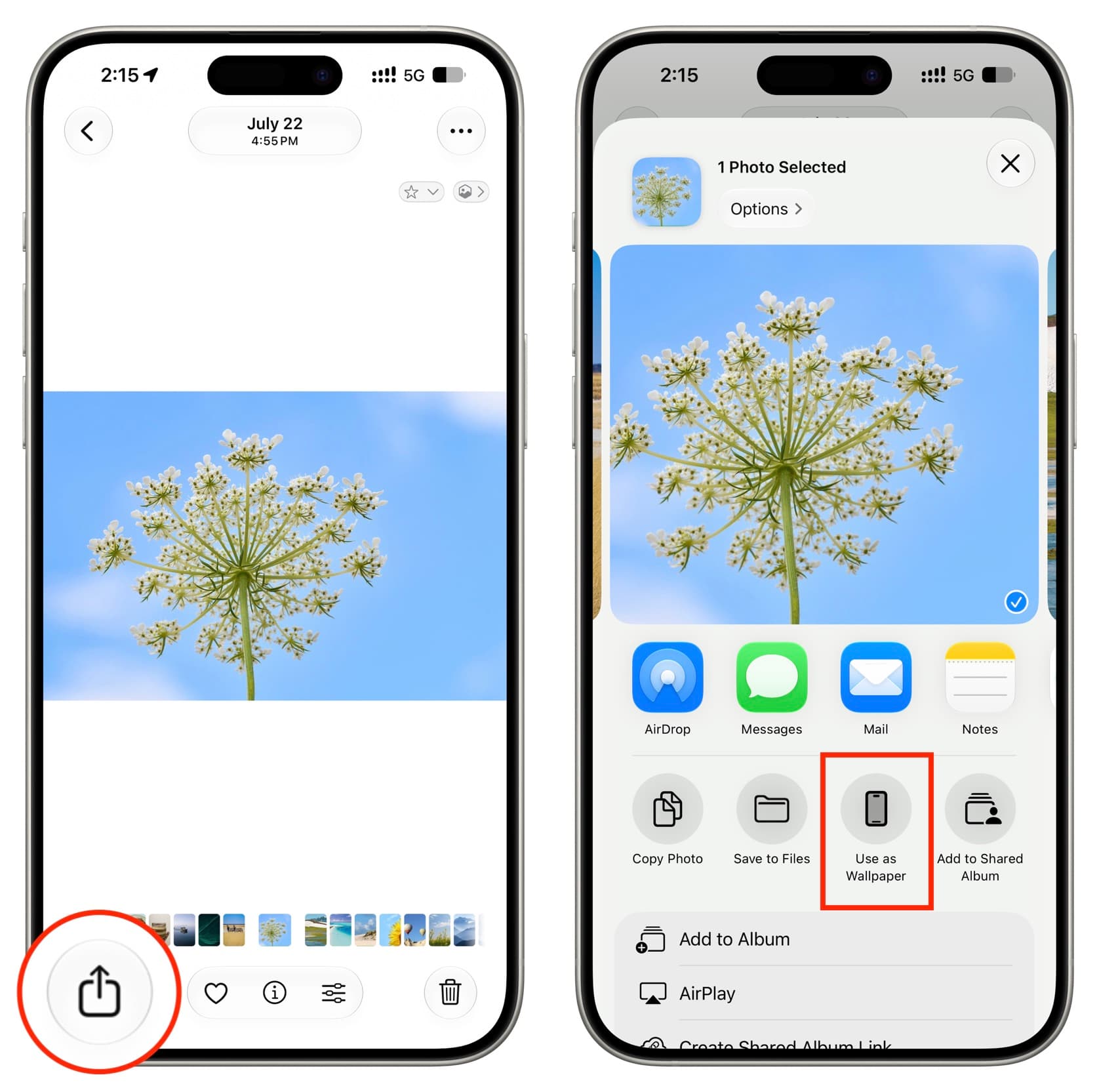 iOS 27’s AI Photo Extension Lets You Fix Cropped Shots in Seconds