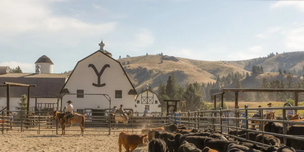 The Complete Yellowstone Universe Viewing Order