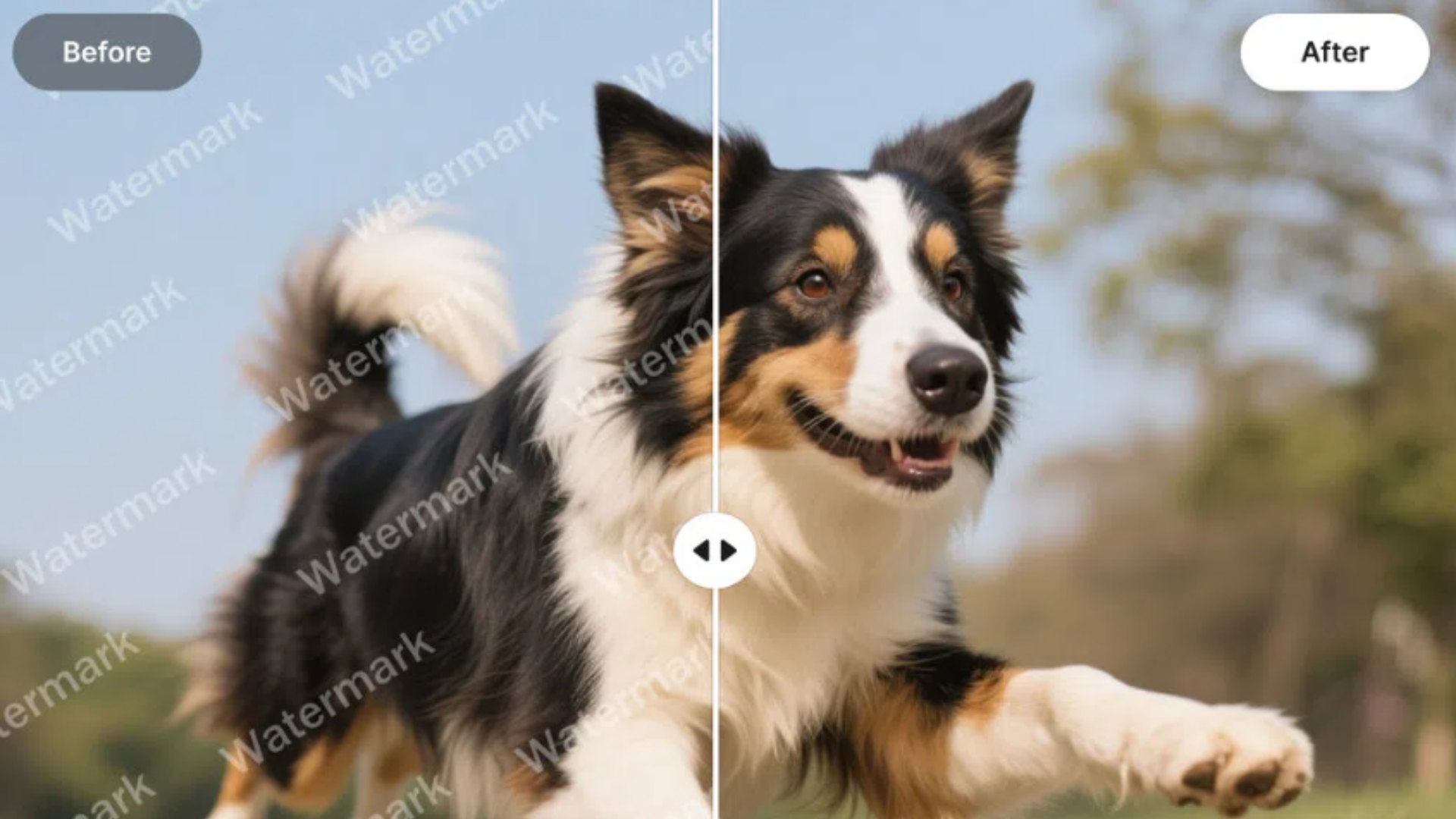 Watermark Removal vs. Video Enhancement: Getting the Order Right