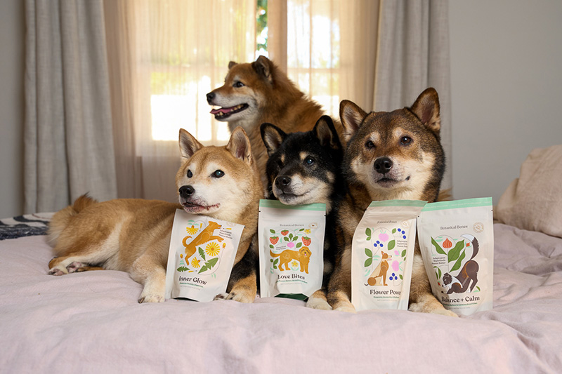 Veterinarian-Formulated Pet Treats Are the New Preventive Care Tool
