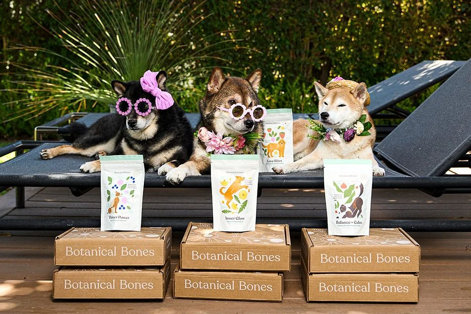 Veterinarian-Formulated Pet Treats Are the New Preventive Care Tool