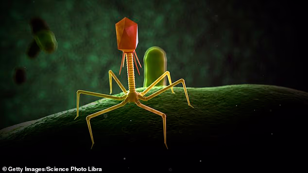 How AI Is Designing New Viruses to Fight Disease—and the Risks
