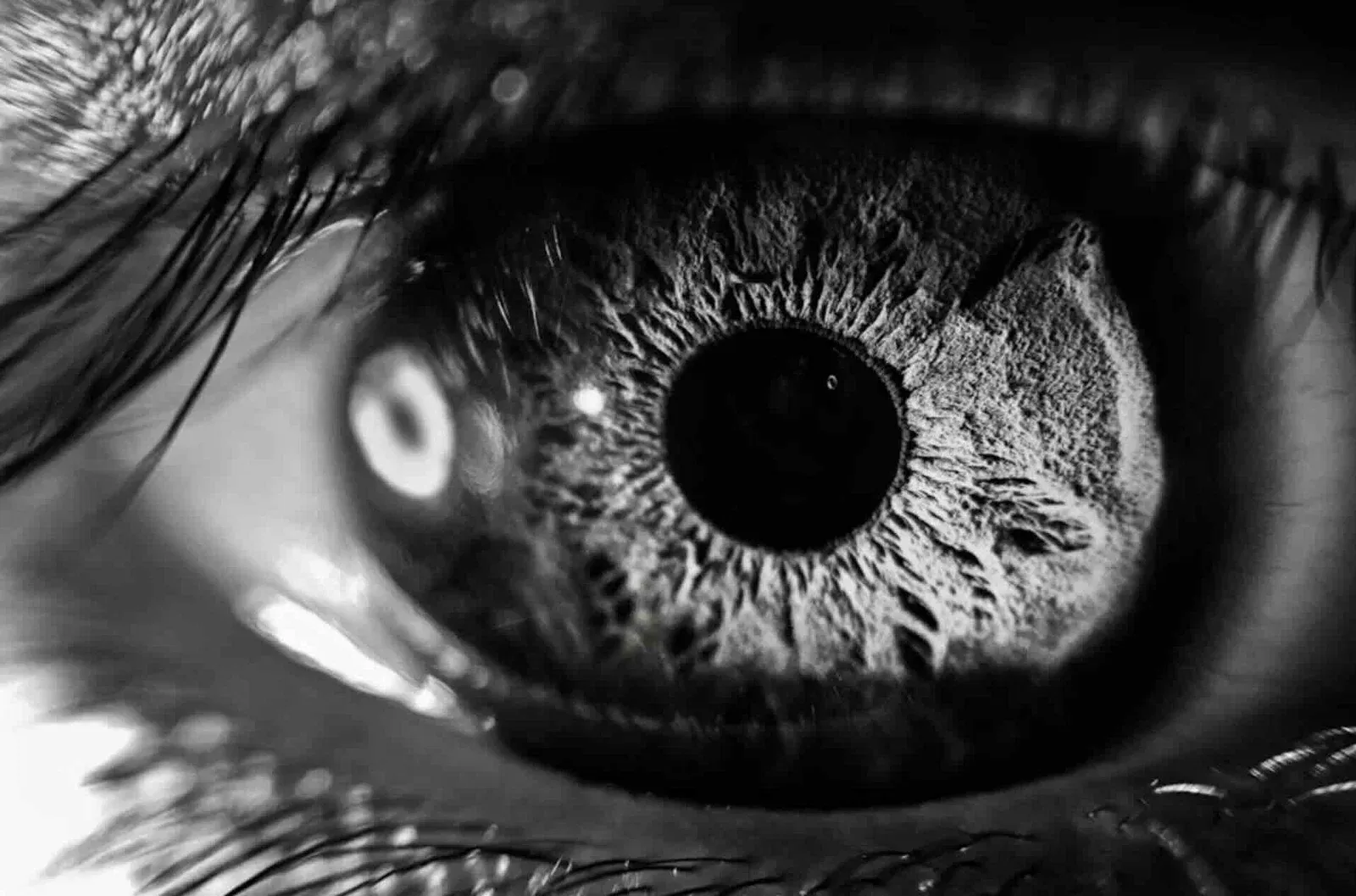 Why Unusual Experiences May Benefit Mental Health More Than We Thought