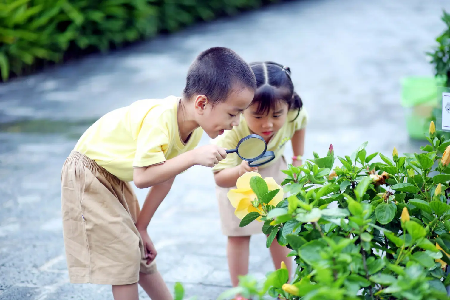 Khoa học chứng minh: thiên nhiên là nền tảng phát triển toàn diện của trẻ
