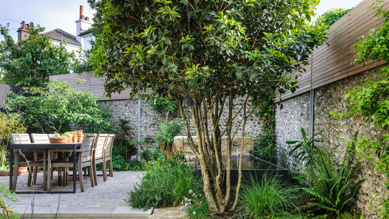 How to Use Houseplants as Natural Air Conditioning for Your Home