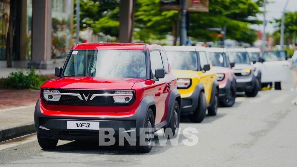 Cuộc đua giá xe điện: VinFast, Tesla và cơ hội vàng cho người mua