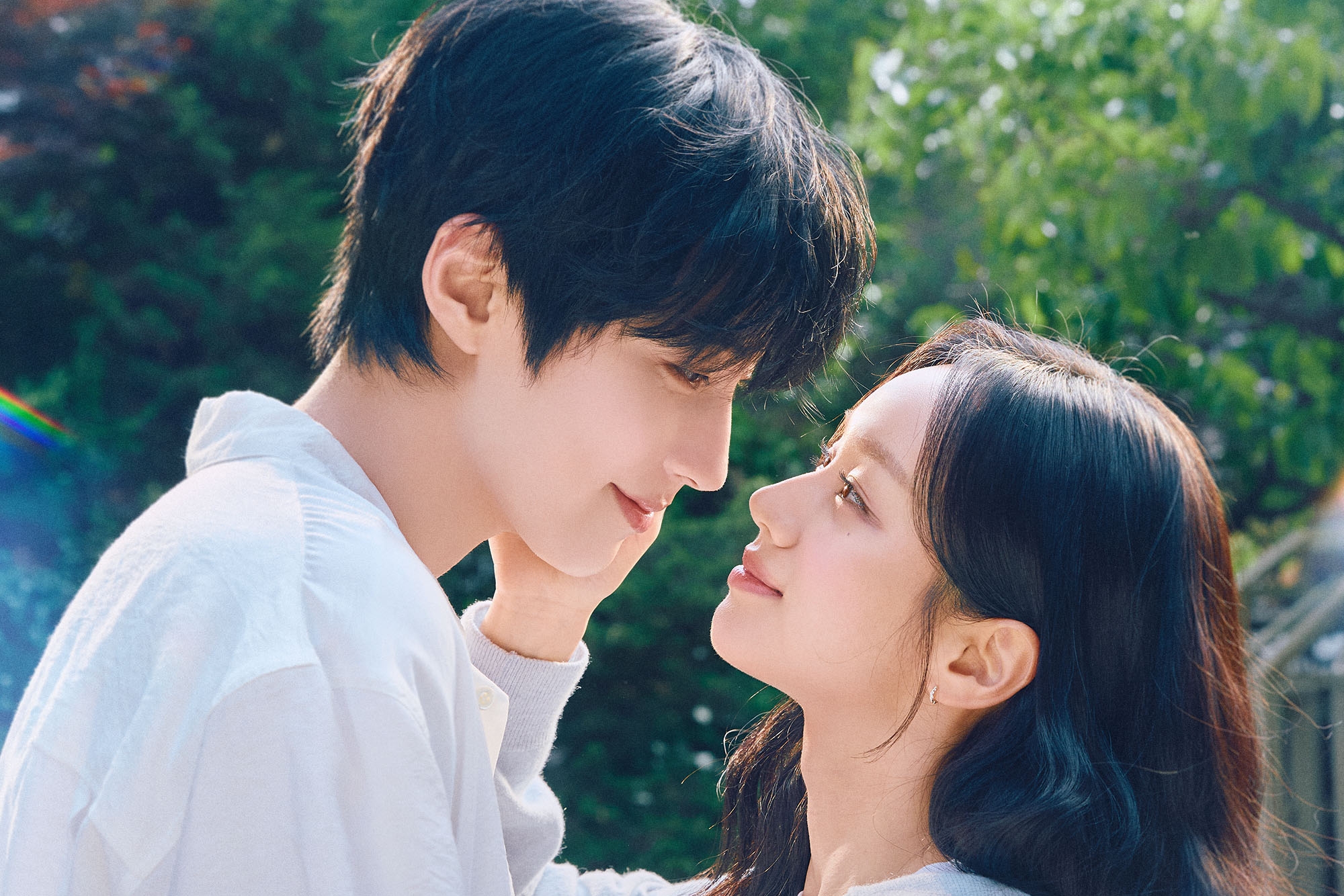 Korean Dramas Heat Up: Which Series Are Winning Viewers Now