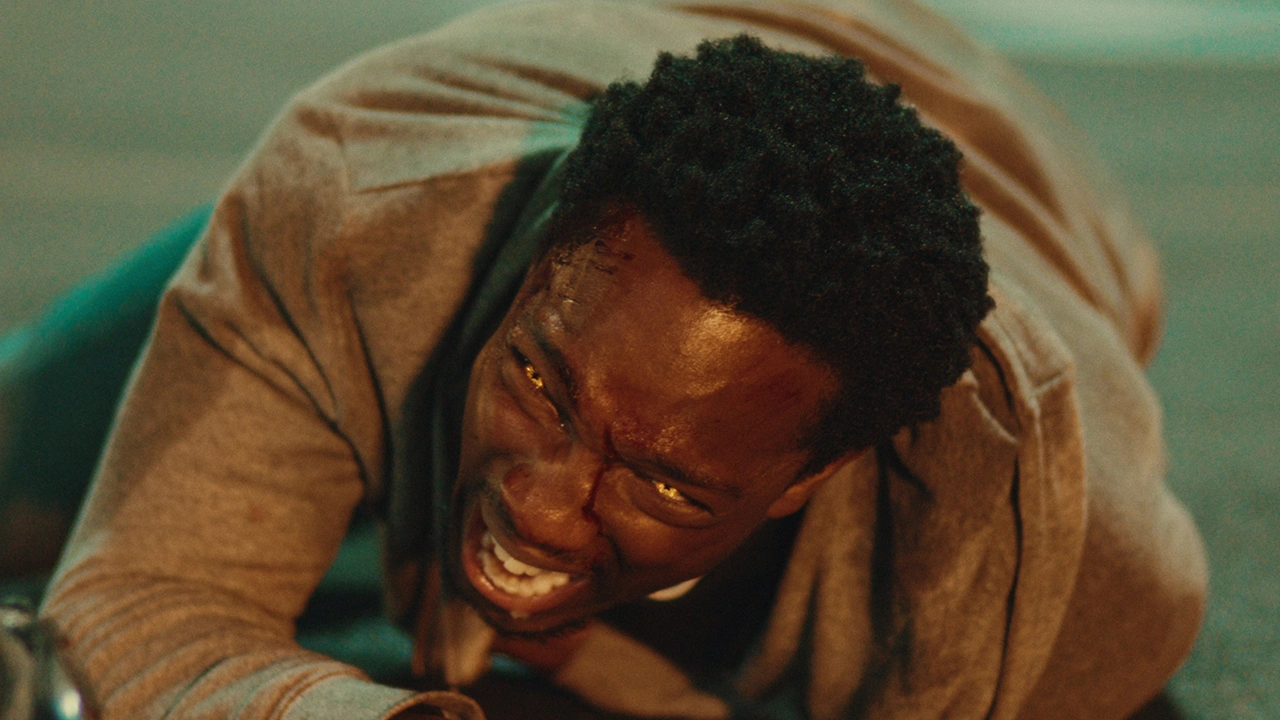 Netflix August and September Releases: What to Binge Before Fall TV