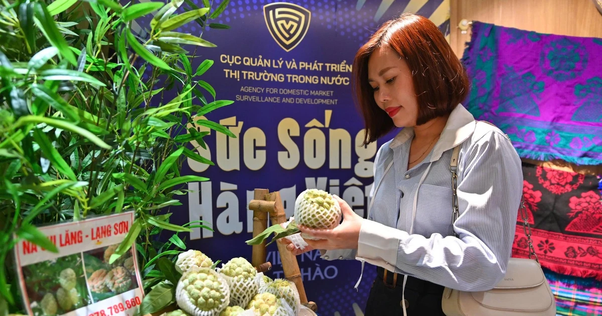 Thị trường bán lẻ tăng tốc: hạ tầng, sự kiện và cuộc đua nâng chất sống