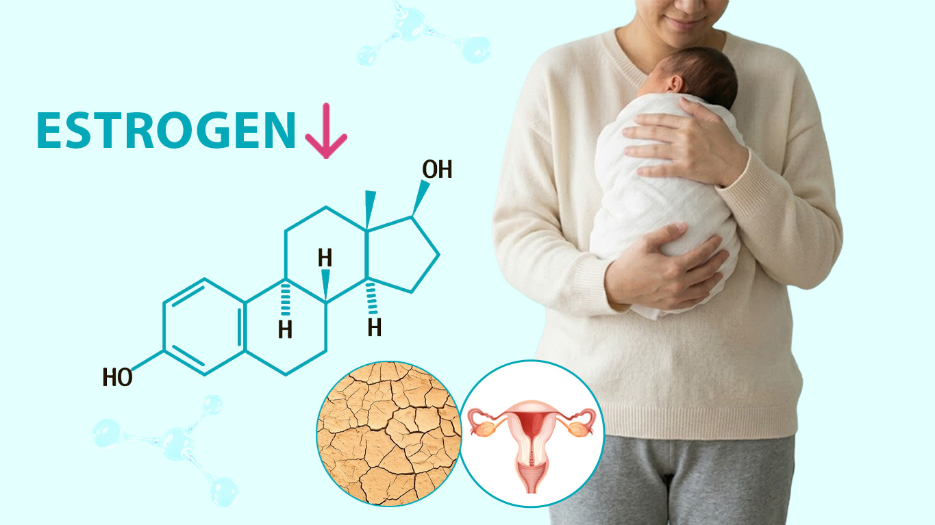 Chăm sóc sức khỏe sau sinh kiểu Gen Z: nói thẳng, chữa đúng