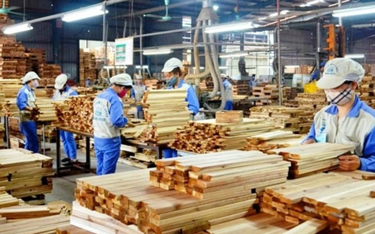 Ngành gỗ Việt Nam xoay trụ cột: từ xuất khẩu sang chinh phục thị trường nội địa