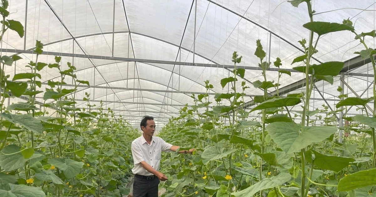 Công nghệ sinh học rời phòng thí nghiệm và tạo giá trị mới
