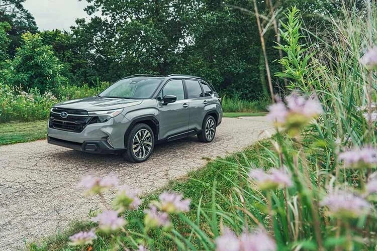 Ba mẫu SUV hybrid sắp về Việt Nam: Chọn Lexus ES, Toyota Land Cruiser hybrid hay Subaru Forester HEV?