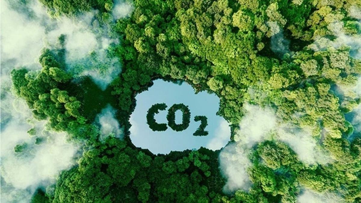 CBAM và tín chỉ carbon: Lợi thế cạnh tranh xanh cho doanh nghiệp Đông Nam Á