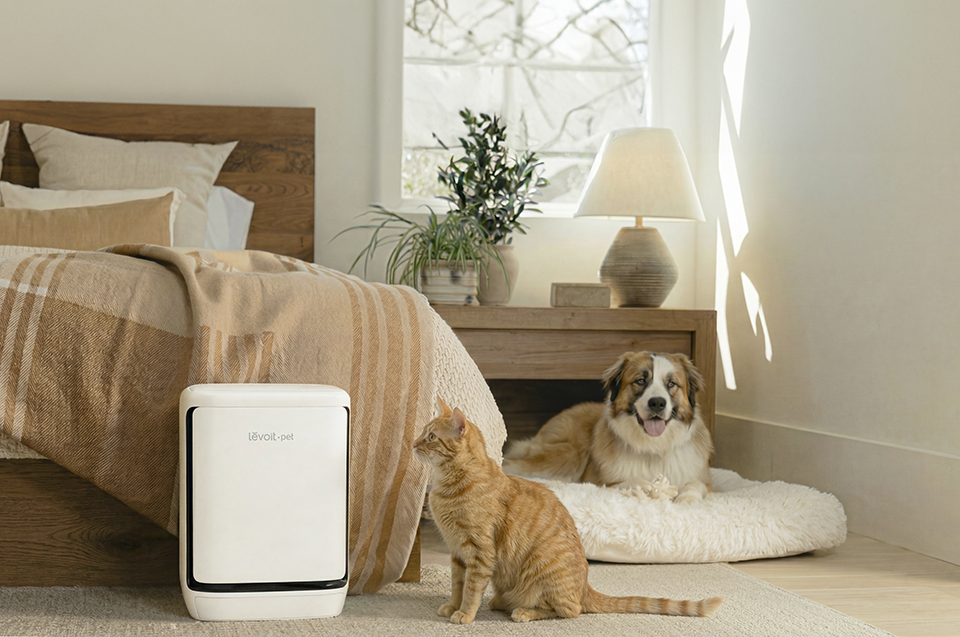 Máy lọc không khí Levoit Vital Pet Pro: Giải pháp thông minh cho nhà nuôi thú cưng