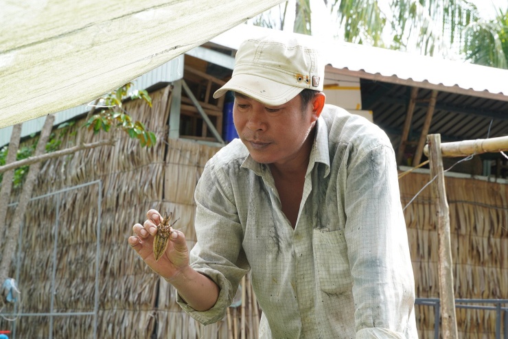 Từ du lịch đến tinh dầu quý: làn sóng khởi nghiệp nông nghiệp dược liệu mới
