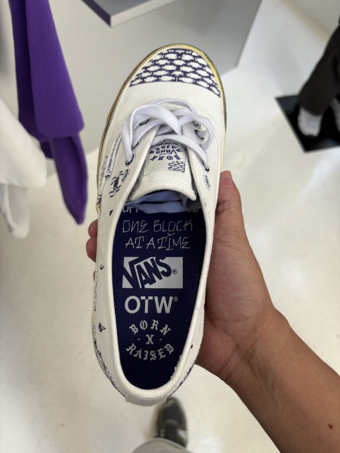 Born X Raised and Vans Turn the Authentic 44 into Art