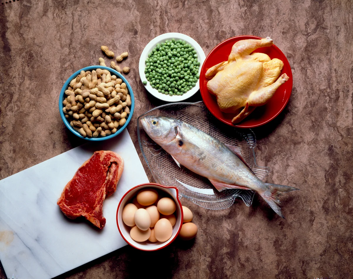 Does High Protein Intake Really Age You Faster?