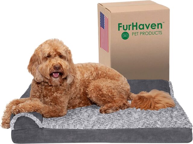 Why Your Dog Ignores the Expensive Bed You Bought—and What Actually Works
