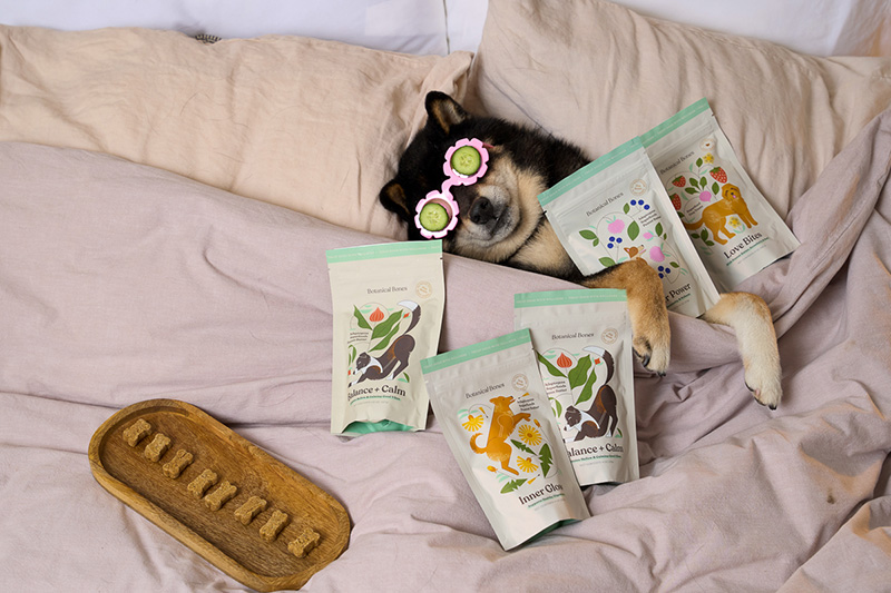 Veterinarian-Formulated Pet Treats Are the New Preventive Care Tool
