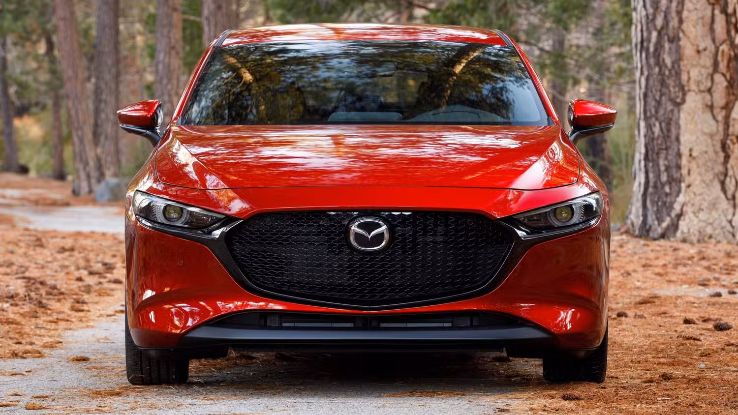Skip the Badge: Affordable Performance Cars Under 30k