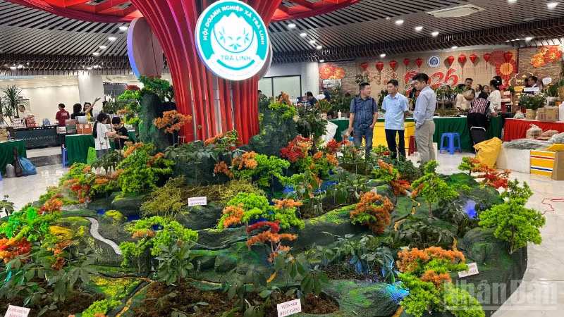 Lễ hội Sâm Ngọc Linh và Dược liệu Quốc tế Đà Nẵng: Bước nhảy của thảo dược Việt