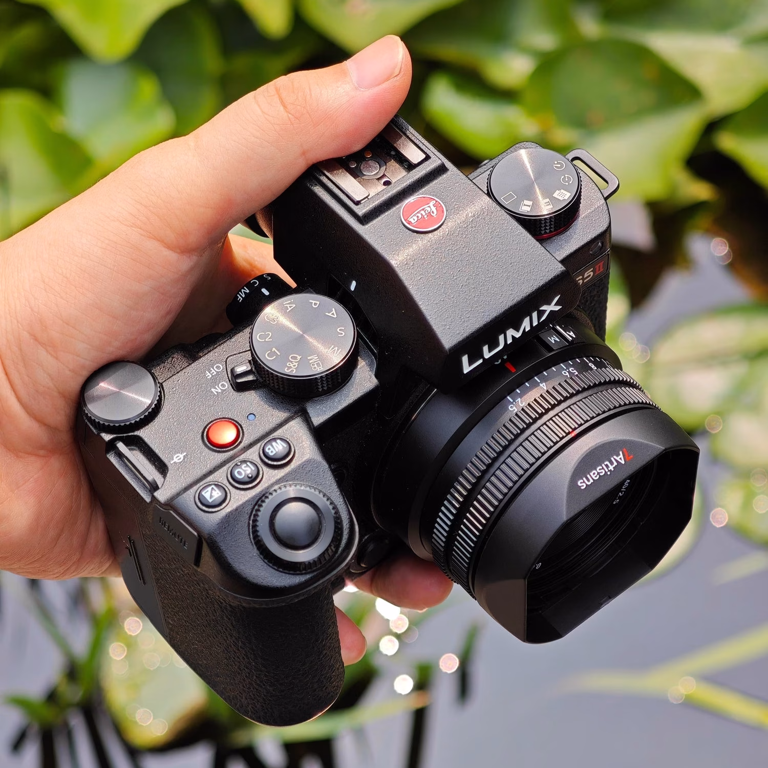 Affordable Autofocus Primes Are Quietly Transforming L-Mount and Nikon Z