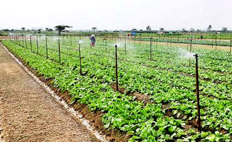 Anova Agri và Base.vn mở đường cho AI quản trị doanh nghiệp