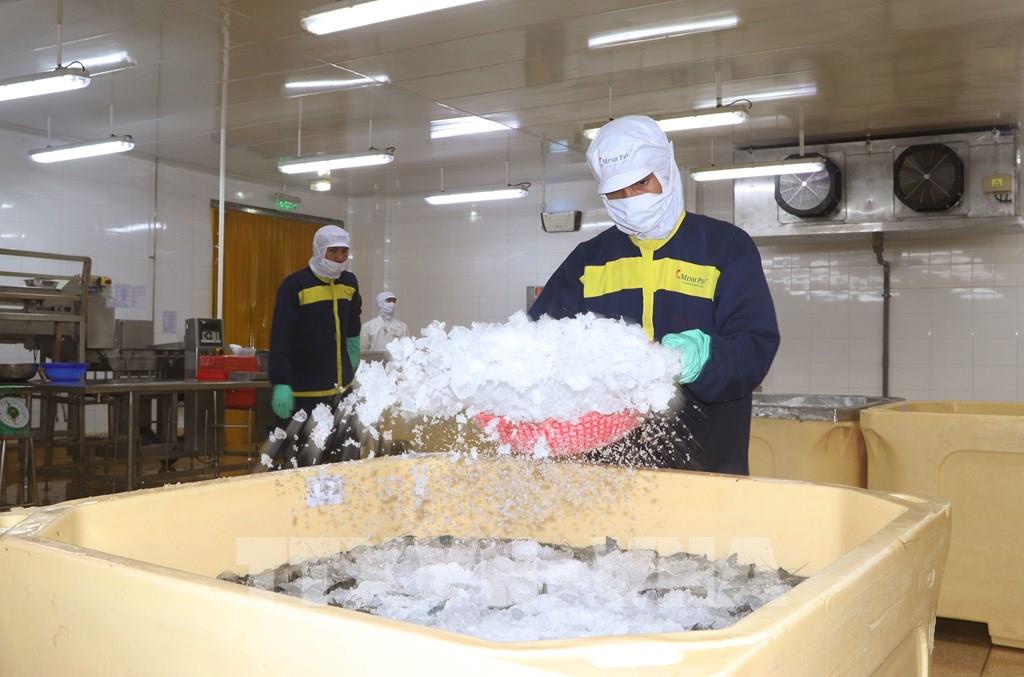 Nghị quyết đặc thù APEC và bước ngoặt trao quyền cho kinh tế tư nhân