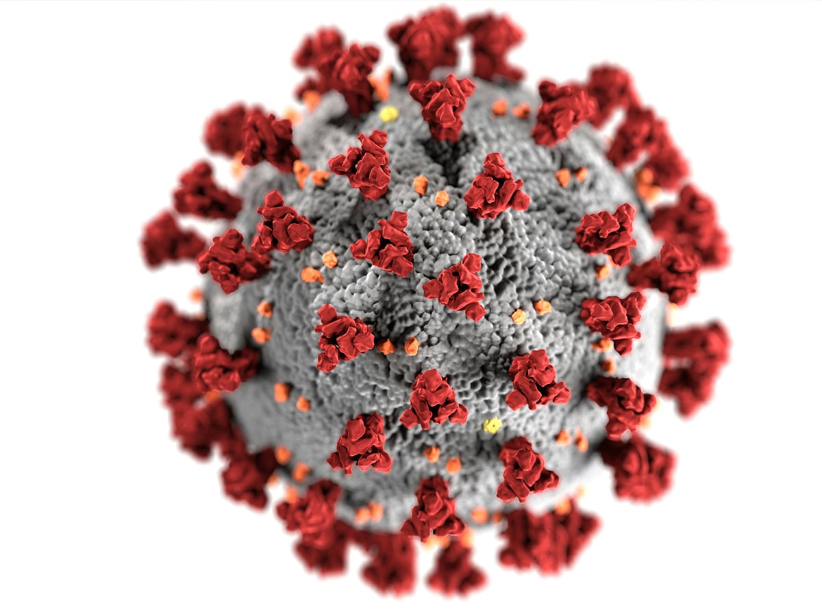 How AI Is Designing New Viruses to Fight Disease—and the Risks