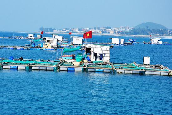 Từ khai thác sang kinh tế biển bền vững: Cánh đồng cuối cùng ngoài khơi