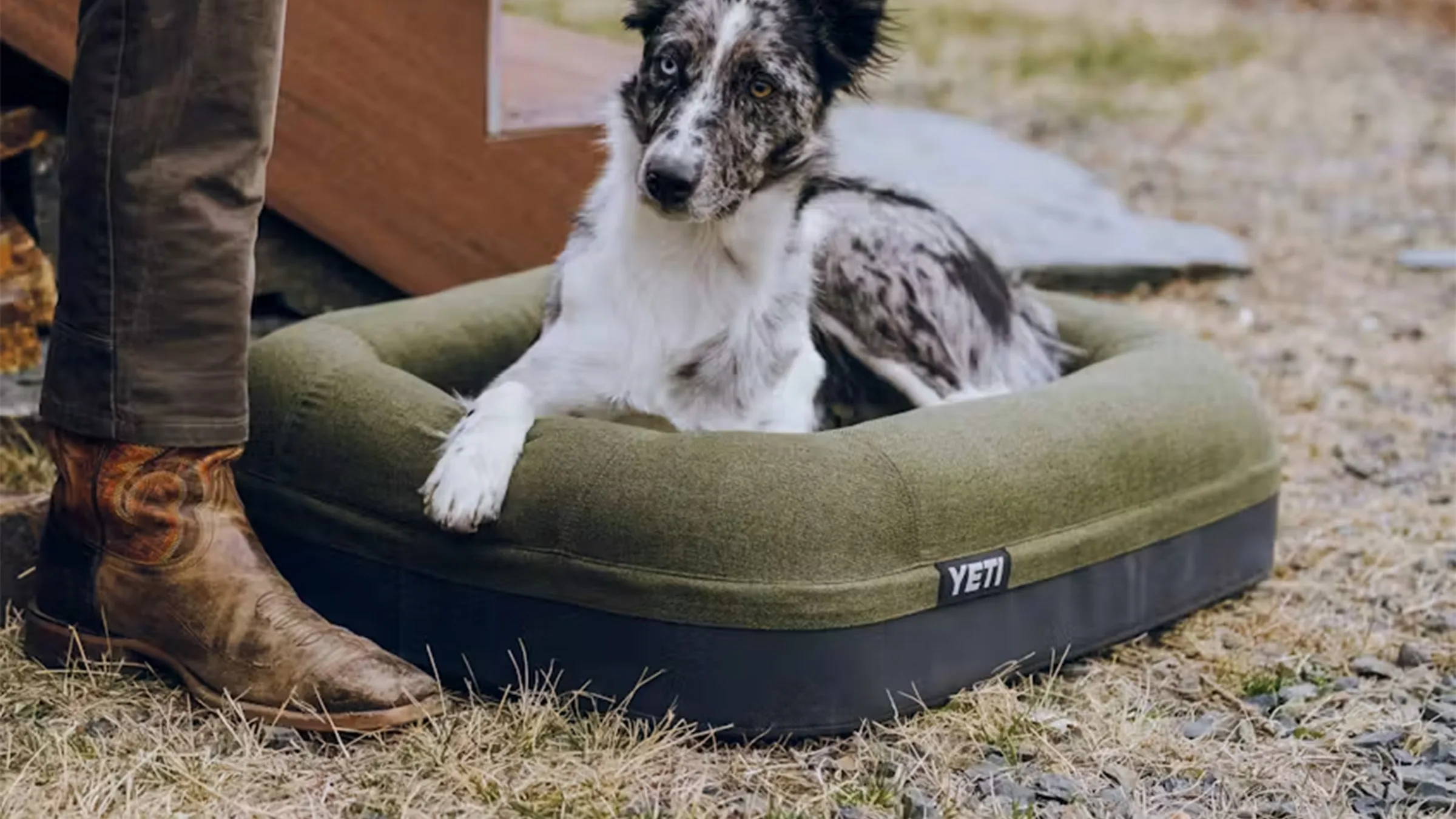 Why Dogs Reject Premium Beds and How to Pick One They’ll Use