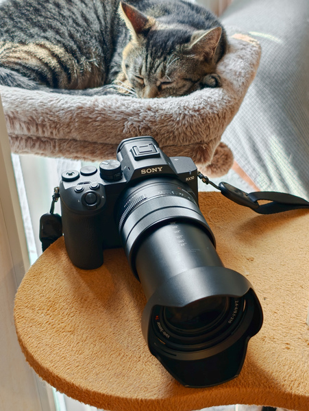 Sony RX10 V: máy ảnh bridge all-in-one với zoom siêu tele