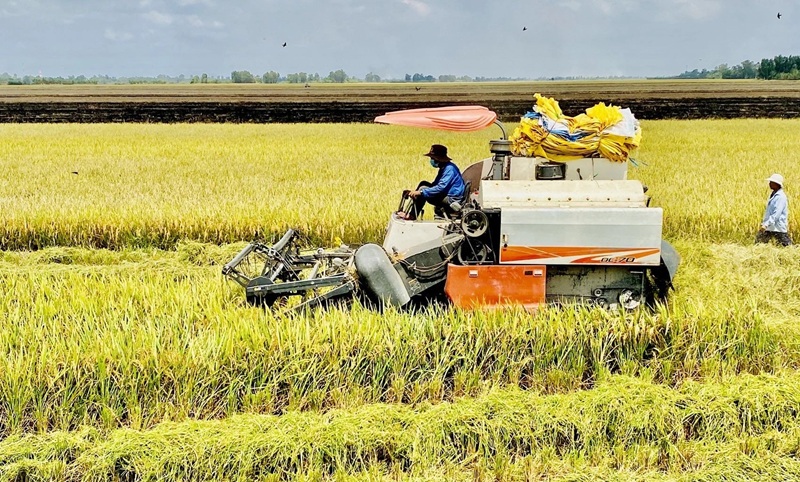 Cần Thơ định hình tương lai đô thị xanh và thông minh