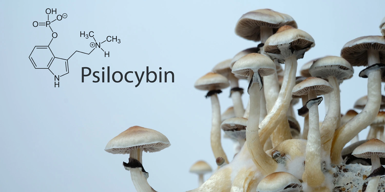 How Silent Psilocybin PTSD Treatment Rewrites Trauma