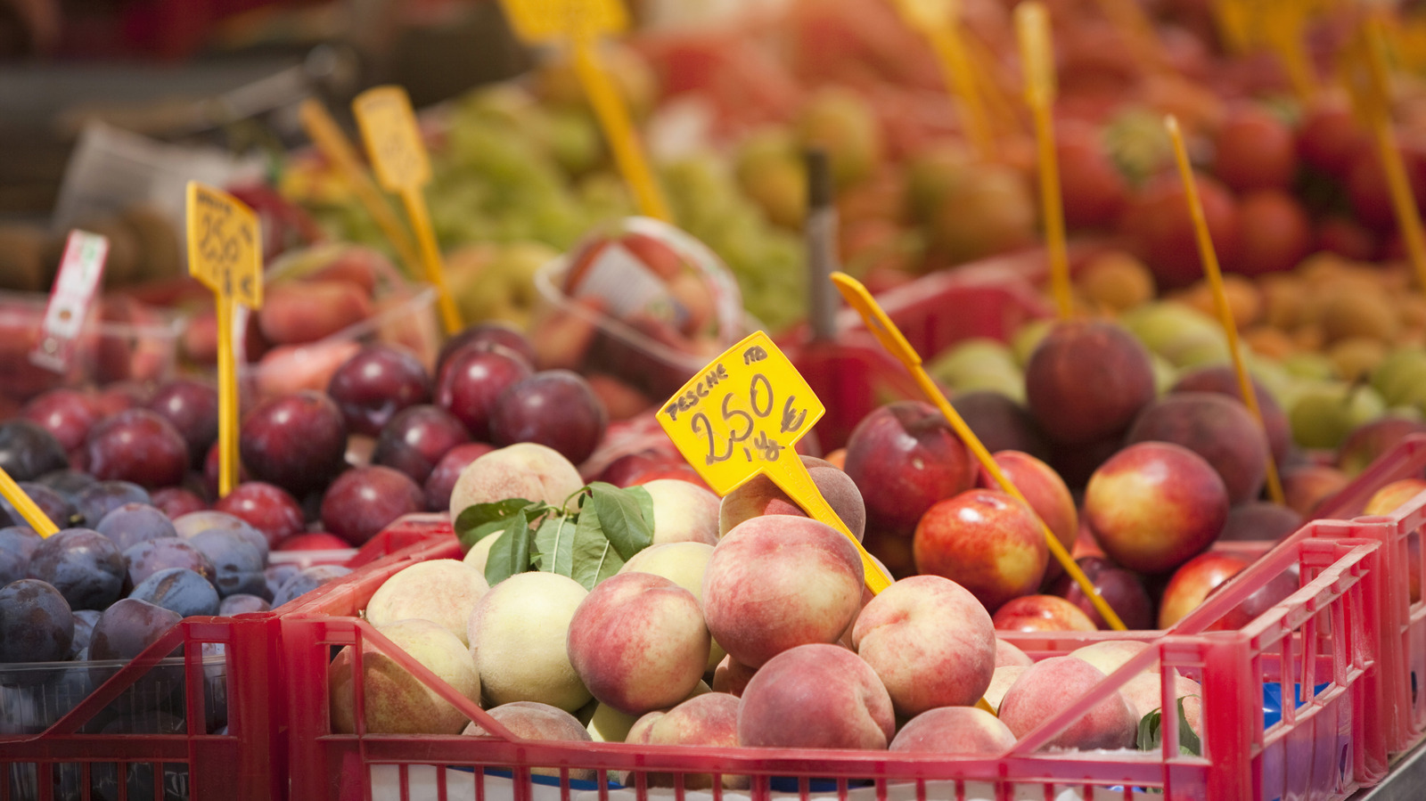 August Produce Peak: The Best Seasonal Fruits and Vegetables to Buy Now