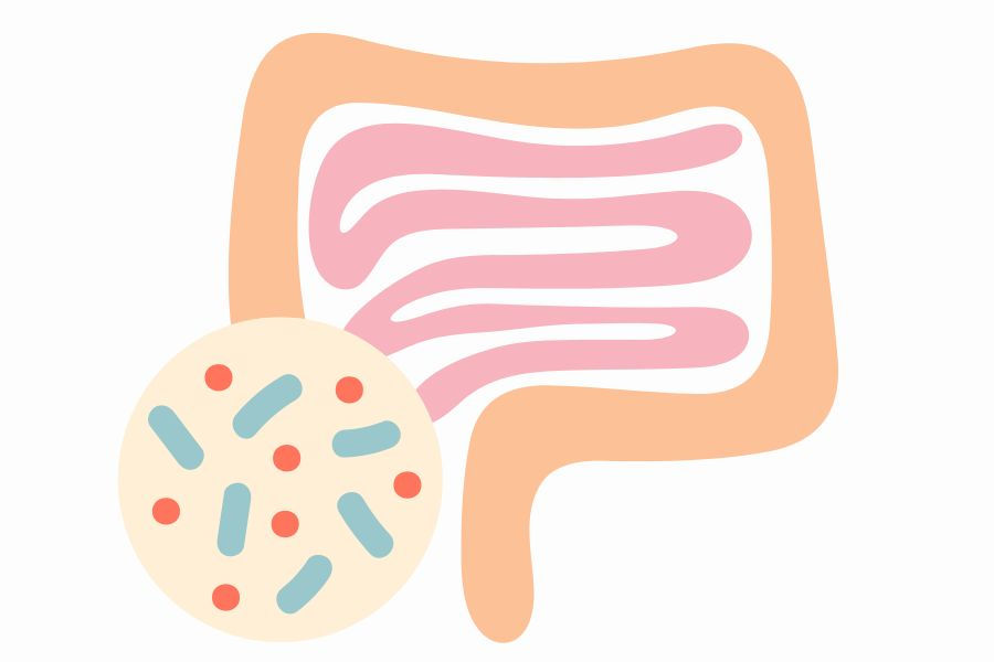 Gan lợn giàu sắt và vitamin A: Cách chọn và ăn an toàn theo khuyến cáo bác sĩ
