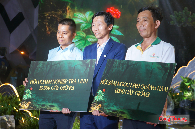 Lễ hội Sâm Ngọc Linh và Dược liệu Quốc tế Đà Nẵng: Bước nhảy của thảo dược Việt