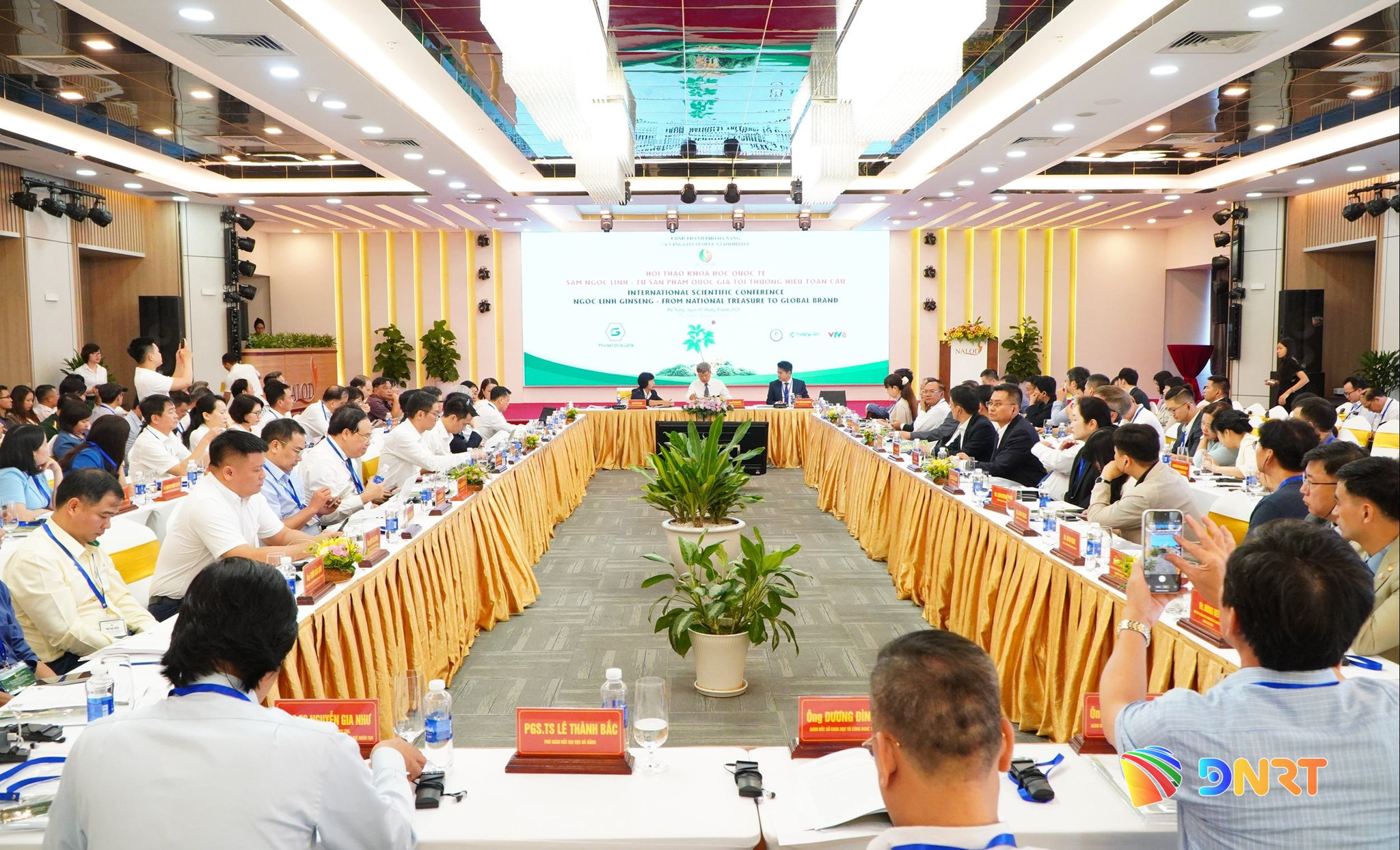 Sâm Ngọc Linh: chiến lược đưa quốc bảo thành thương hiệu toàn cầu