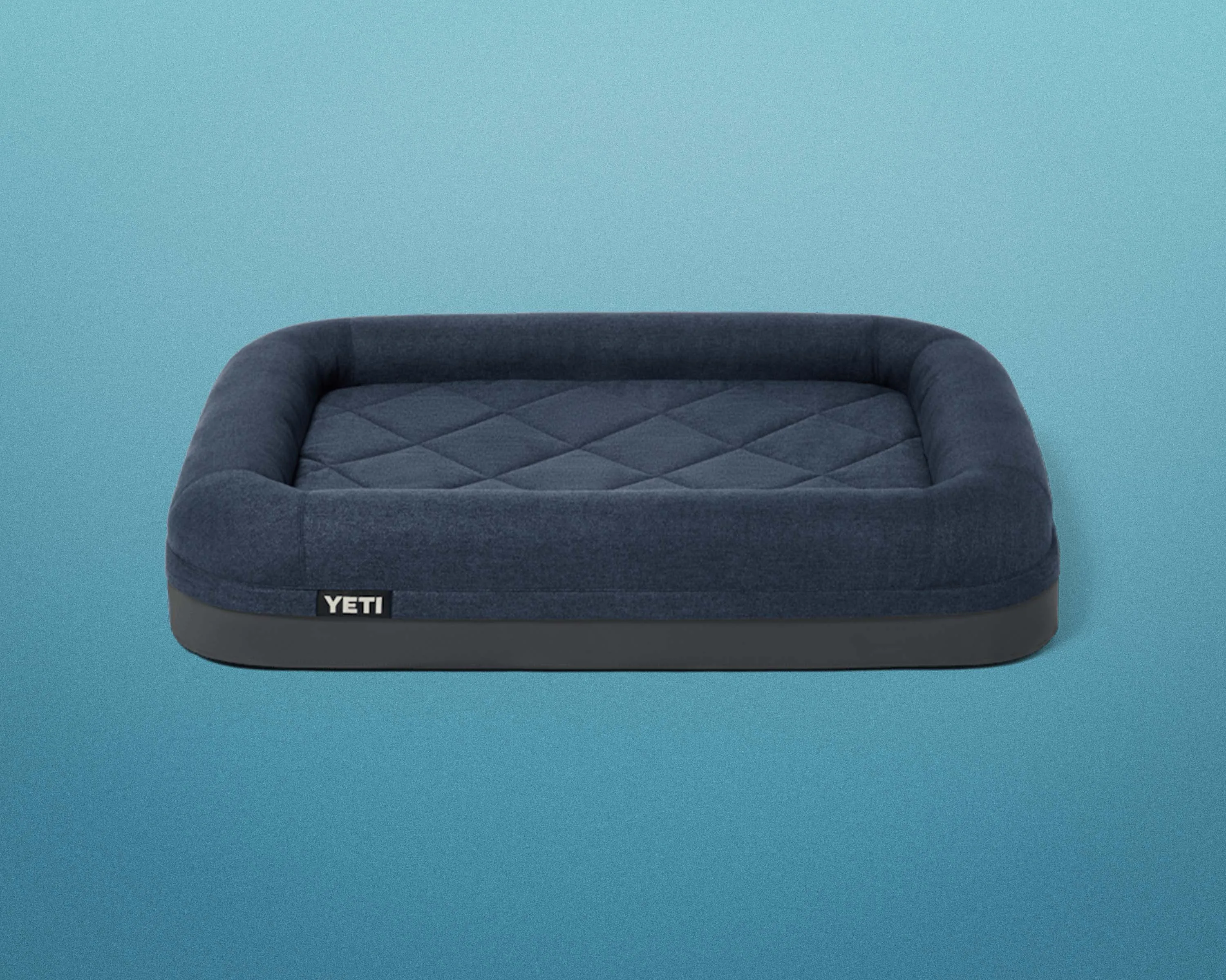 Why Dogs Ignore Fancy Beds and What Really Makes Them Sleep