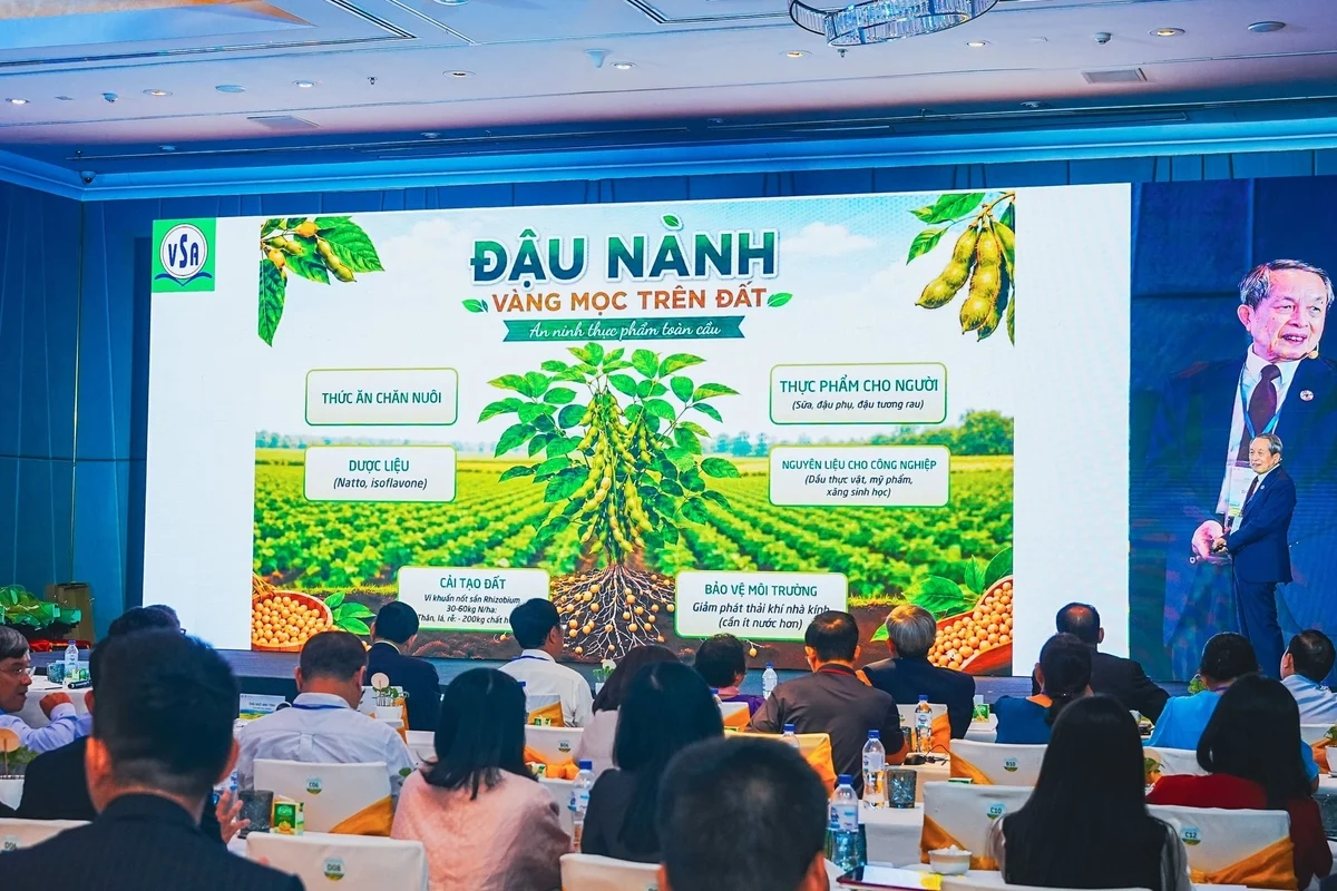 Thịt đậu nành: ‘vàng mọc trên đất’ bị người Việt bỏ quên