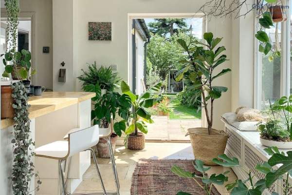 Không gian sống chữa lành: Thiết kế nhà xanh nuôi dưỡng tâm hồn