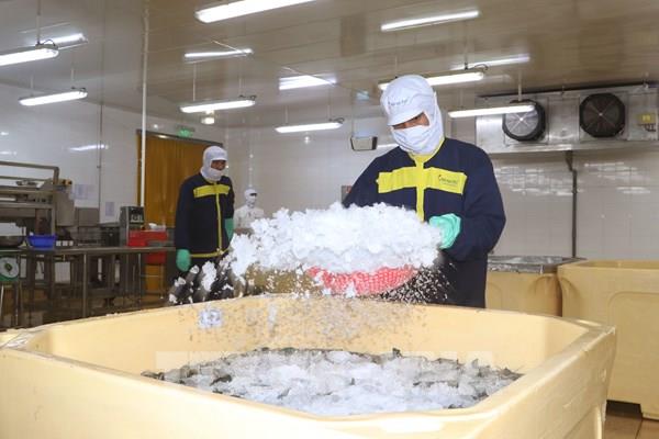 Nghị quyết đặc thù APEC và bước ngoặt trao quyền cho kinh tế tư nhân