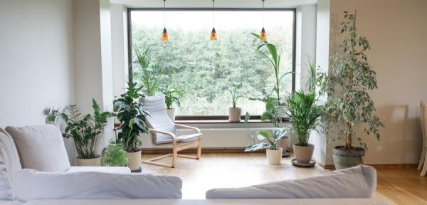 Không gian sống chữa lành: Thiết kế nhà xanh nuôi dưỡng tâm hồn