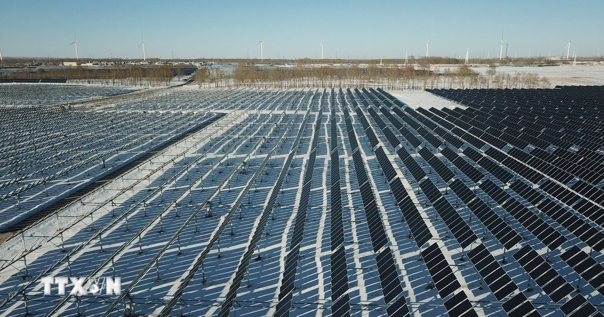 Thuế polysilicon 15%: Cú hích hay rào cản mới cho ngành pin mặt trời