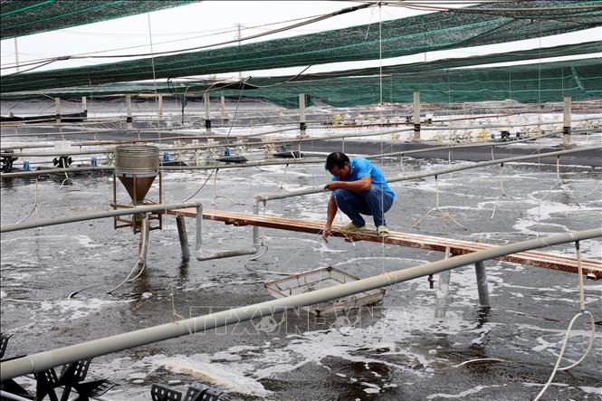 Canh tác biển quy mô lớn: Từ “cánh đồng cuối cùng” đến chiến lược quốc gia biển mạnh