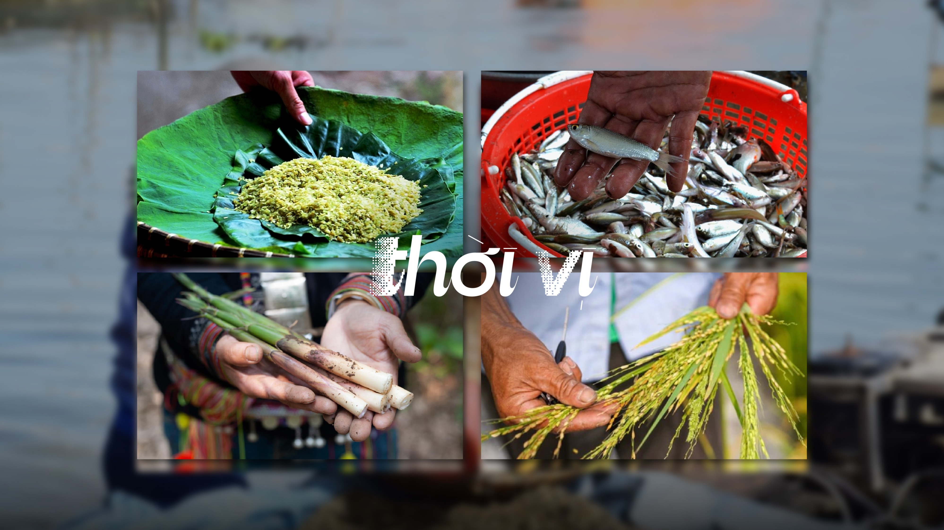 Hương vị theo mùa: Từ cánh đồng đến mâm cơm gia đình