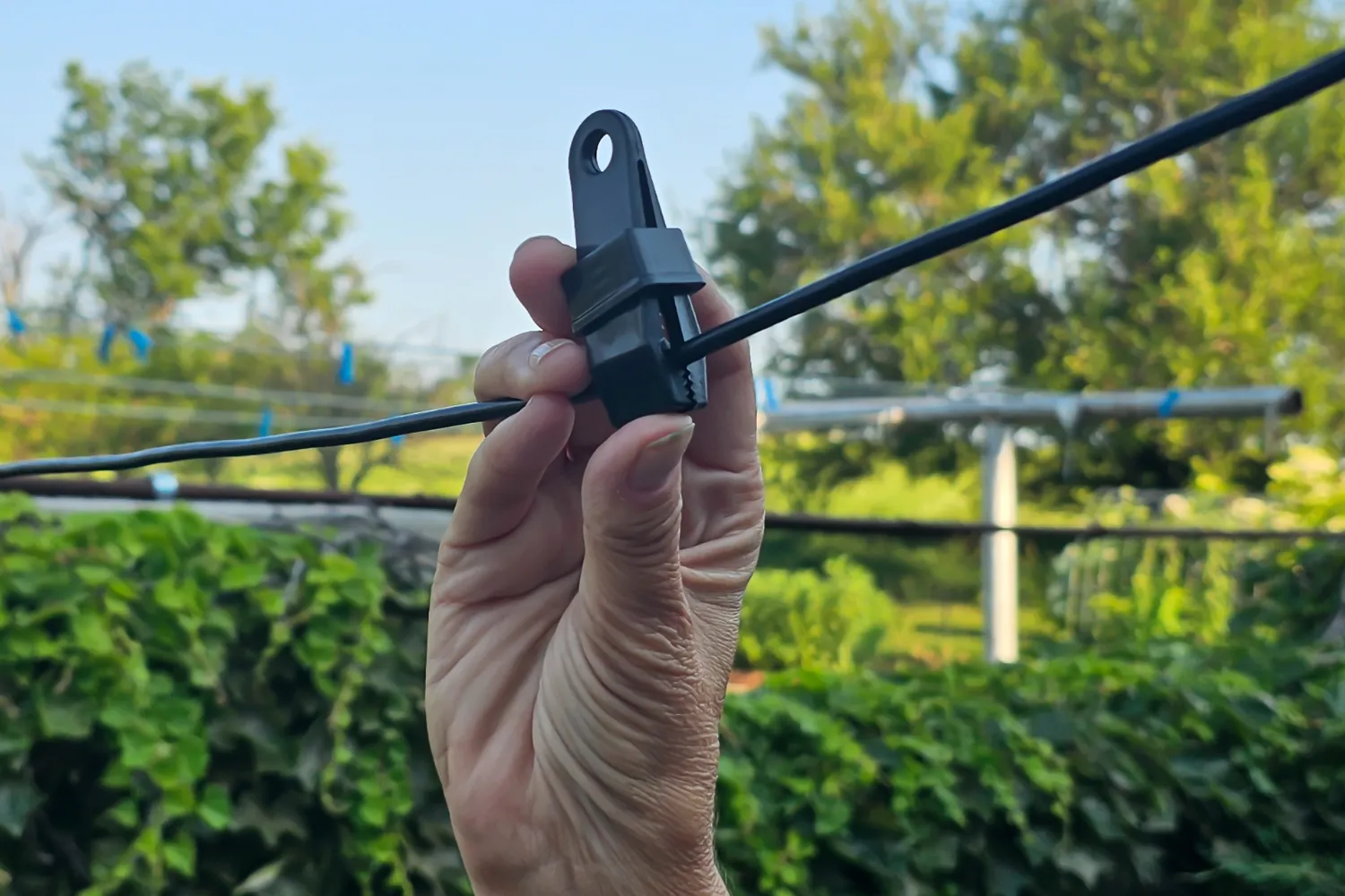 Enbrighten Sphere Lights Review: Big Color on a Budget