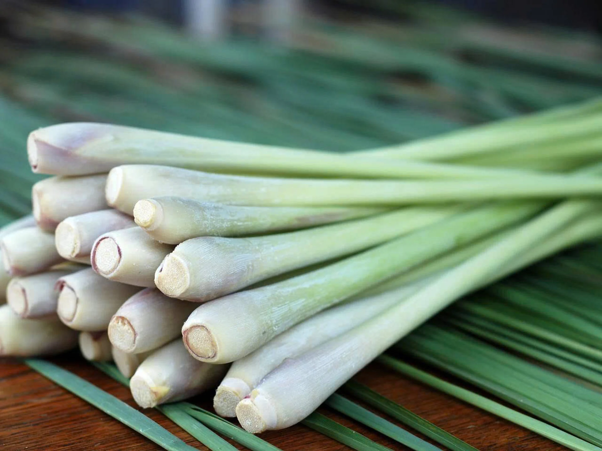 Cân bằng nội tiết tự nhiên: ăn đúng, uống khéo thay cho thuốc
