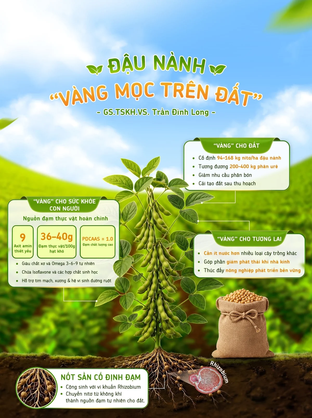 Thịt đậu nành: ‘vàng mọc trên đất’ bị người Việt bỏ quên